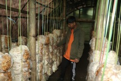 रोग लाग्दा समुदायको सहारा बन्यो ‘जीवन वरदान’